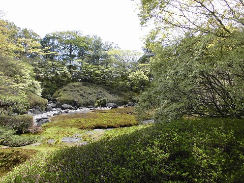 a0331562_17204838.jpg