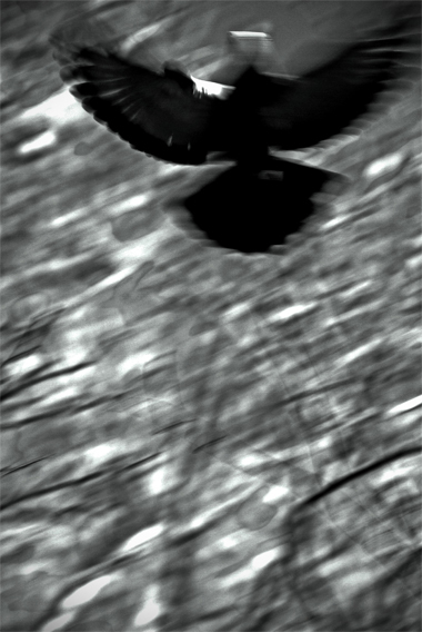c0201763_1253237.jpg