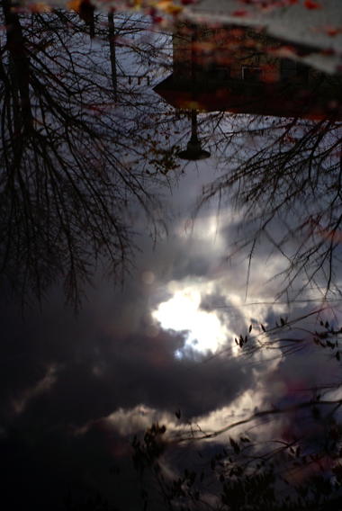 c0201763_1295723.jpg
