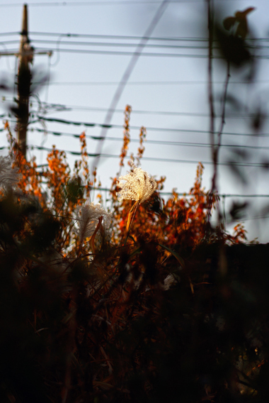 c0201763_1341854.jpg