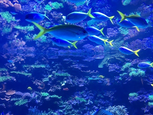 a0023466_09091106.jpg