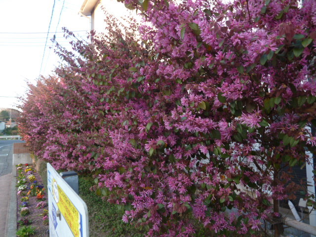 e0278968_23124549.jpg