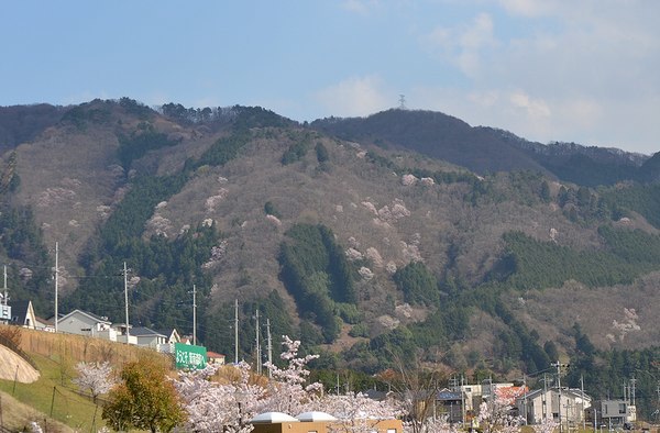 b0102572_23253963.jpg