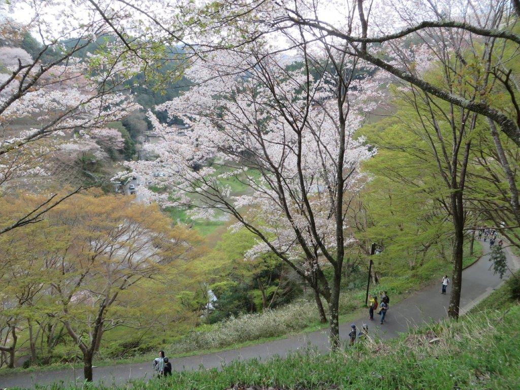 b0208876_21375843.jpg