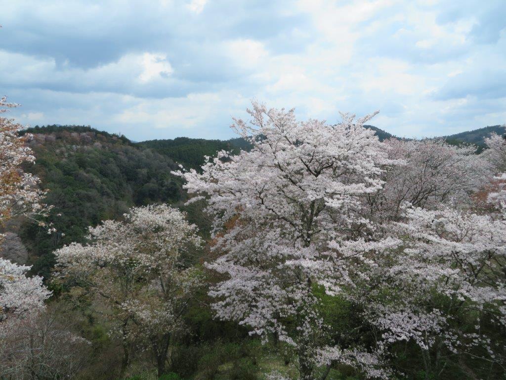 b0208876_21383419.jpg