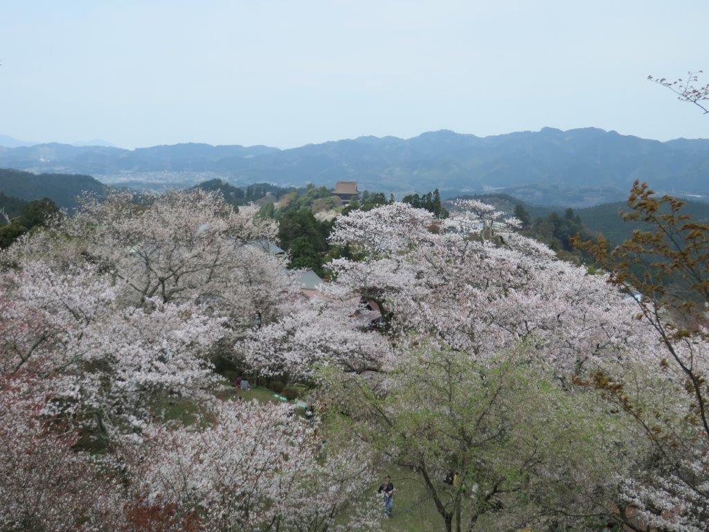 b0208876_21395843.jpg
