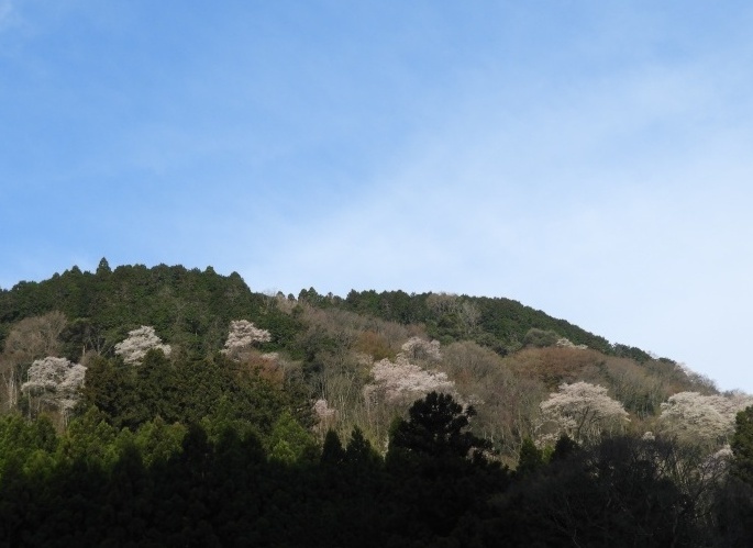 f0378979_10361977.jpg