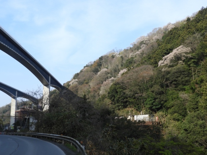 f0378979_10370631.jpg