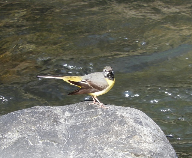 f0378979_10404275.jpg