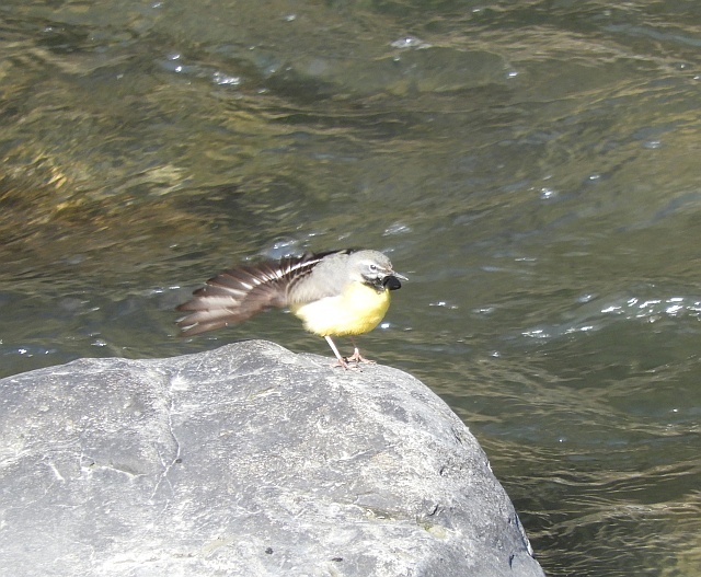 f0378979_10405949.jpg