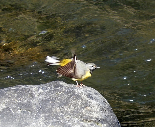 f0378979_10412119.jpg