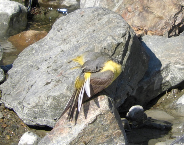 f0378979_10413680.jpg