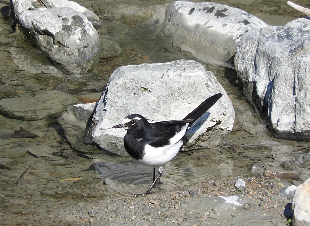 f0378979_10420860.jpg