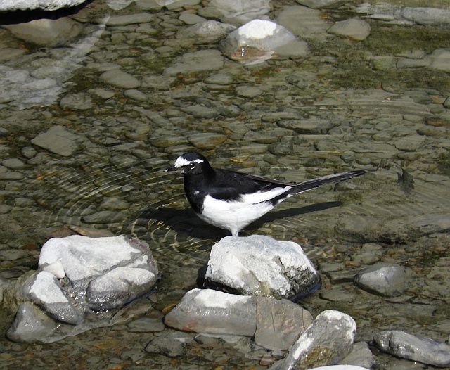 f0378979_10422794.jpg