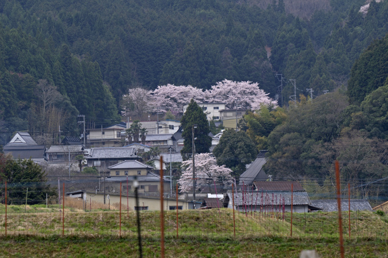 a0110584_20134966.jpg