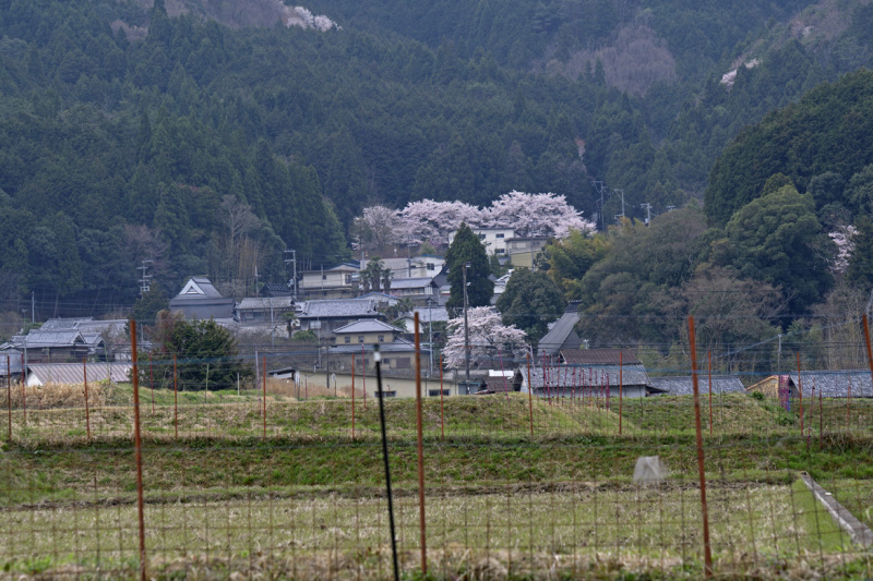 a0110584_20135390.jpg
