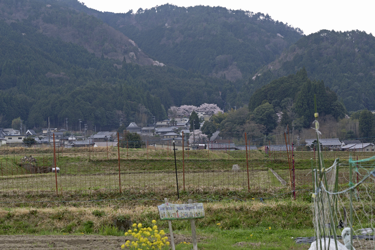 a0110584_20135899.jpg