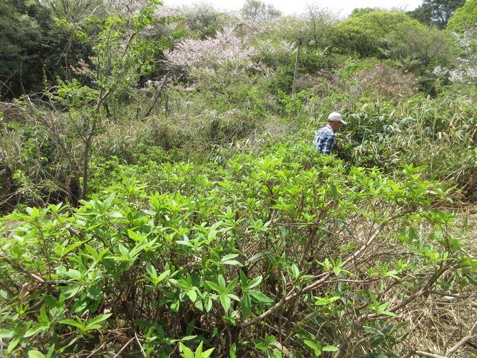 f0053885_20441527.jpg