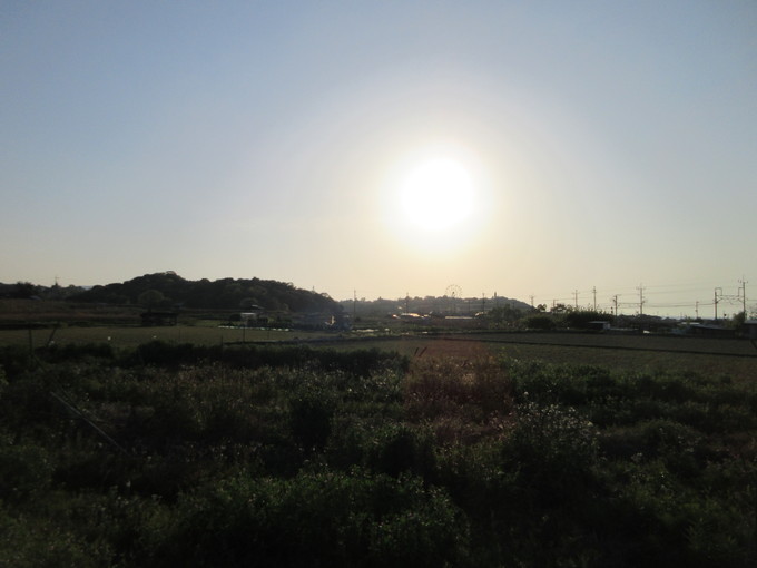 f0053885_2050471.jpg