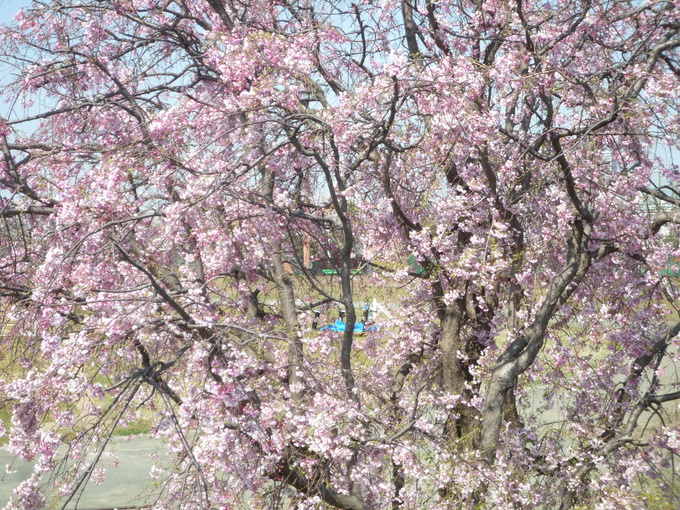 b0197486_1602054.jpg