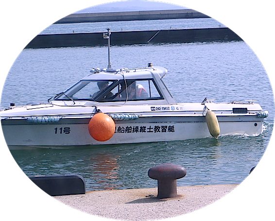 d0329286_20411021.png