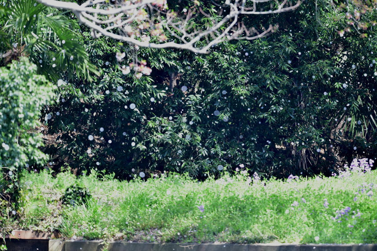 c0144588_08232144.jpg