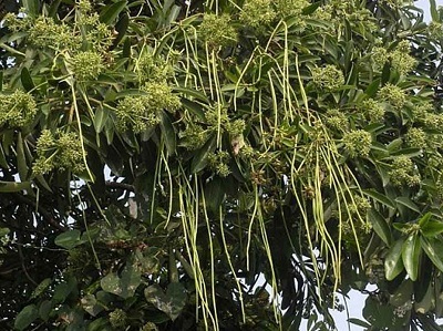 c0338191_01110156.jpg