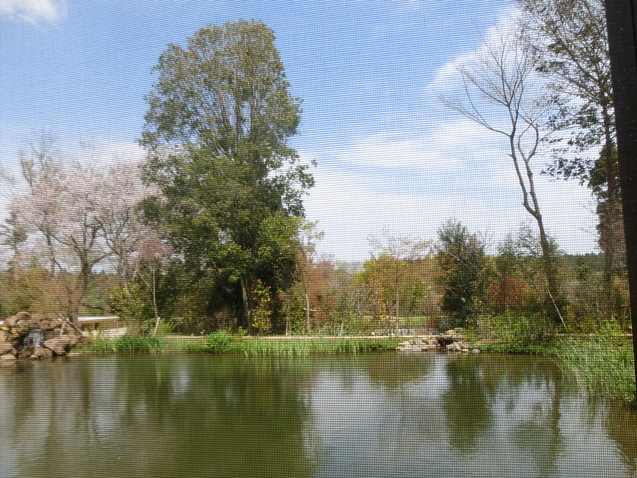 a0319693_8174883.jpg