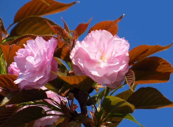 f0033598_1357319.jpg