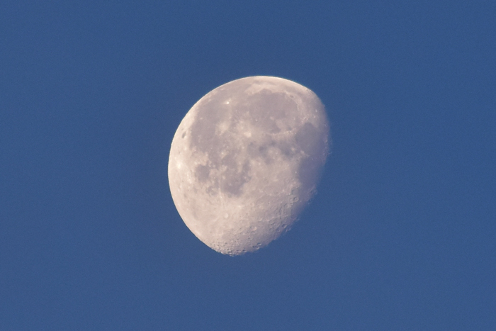 c0049299_23185872.jpg
