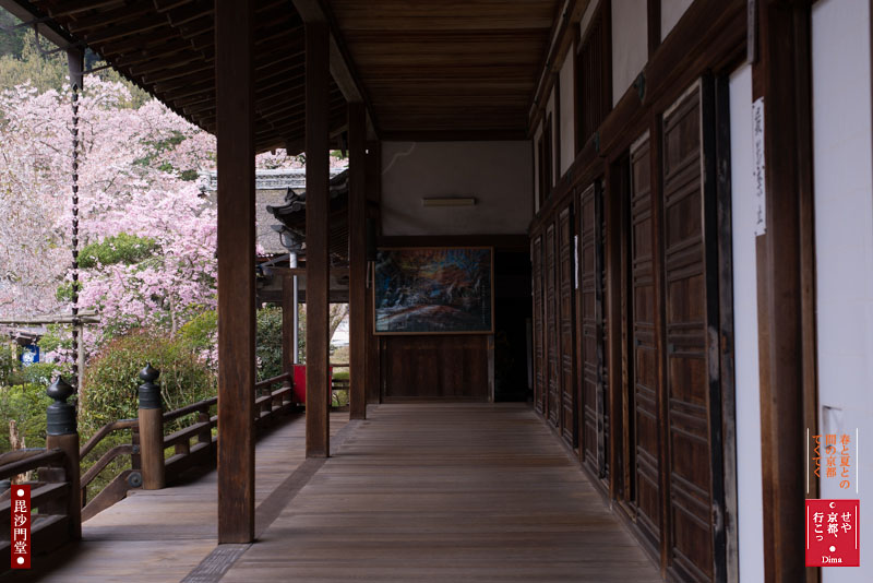 c0183700_04224.jpg