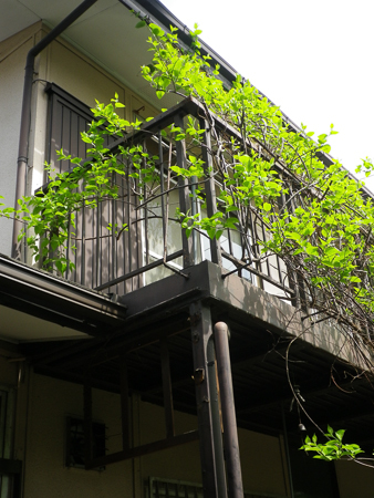f0239100_22571955.jpg