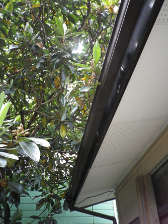 f0239100_23032075.jpg
