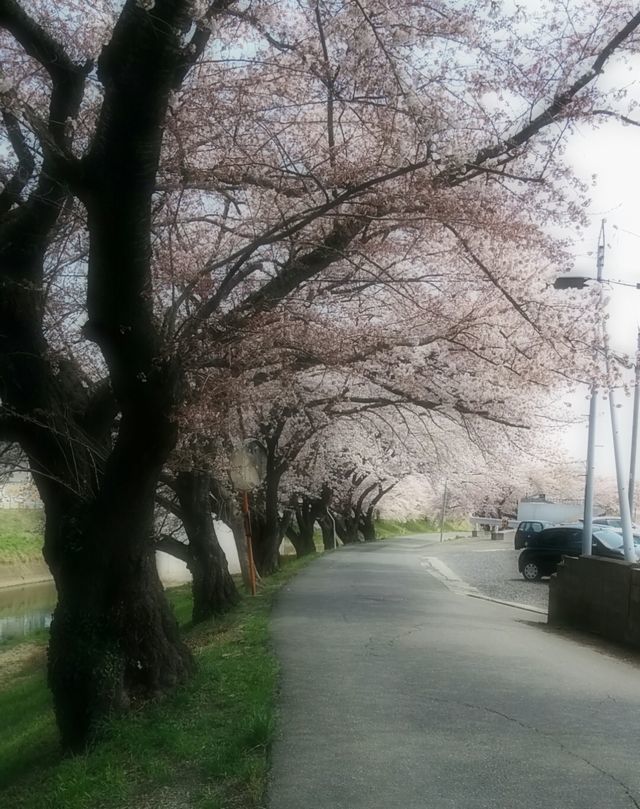 c0007502_00055787.jpg