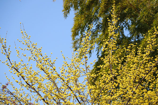a0087804_16021840.jpg