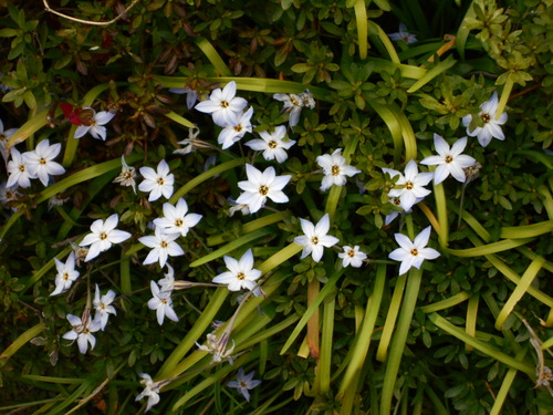 d0009105_17304957.jpg