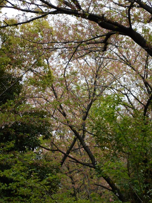 d0009105_17442380.jpg