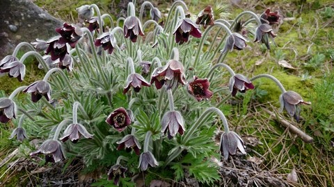 e0172608_20102898.jpg