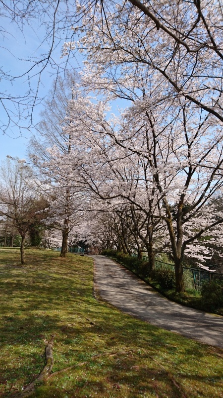 d0359010_19292743.jpg