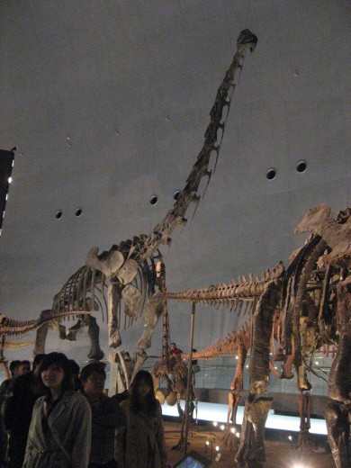 c0062511_21534534.jpg