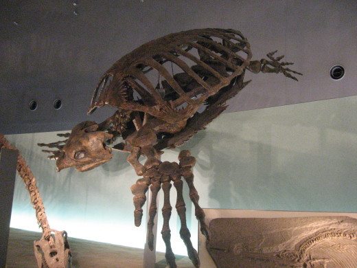 c0062511_22032822.jpg