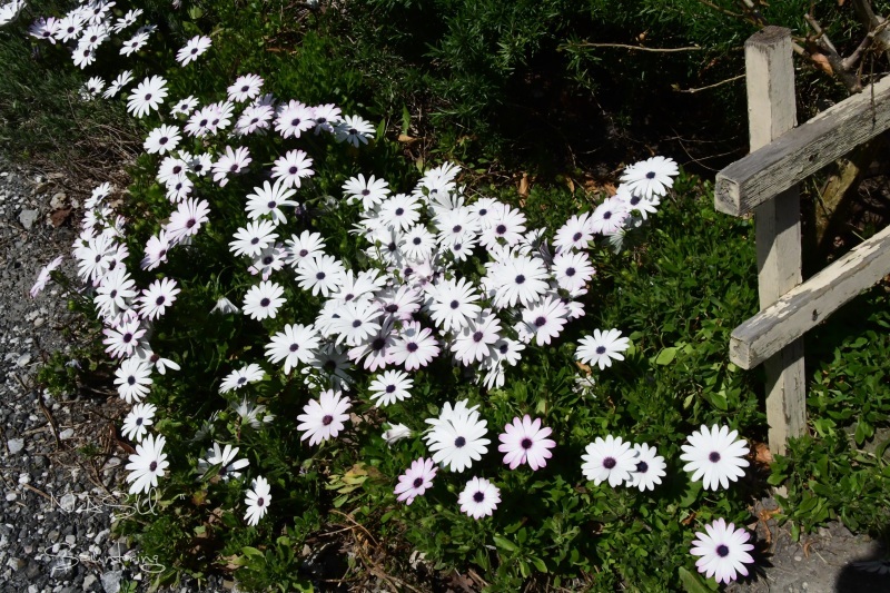 b0223512_23345230.jpg