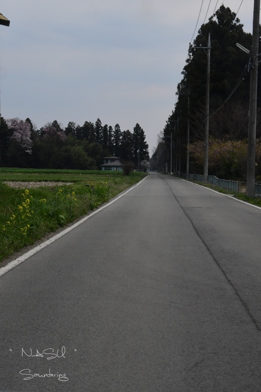 b0223512_23393922.jpg