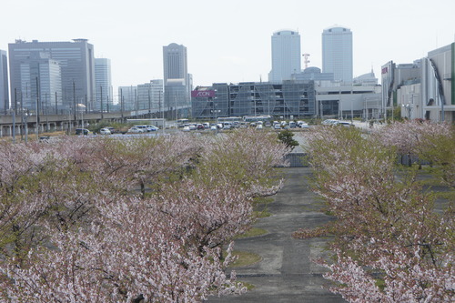 f0215714_1620769.jpg
