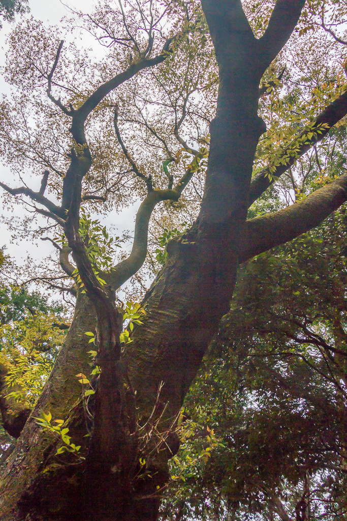 b0010915_20002239.jpg