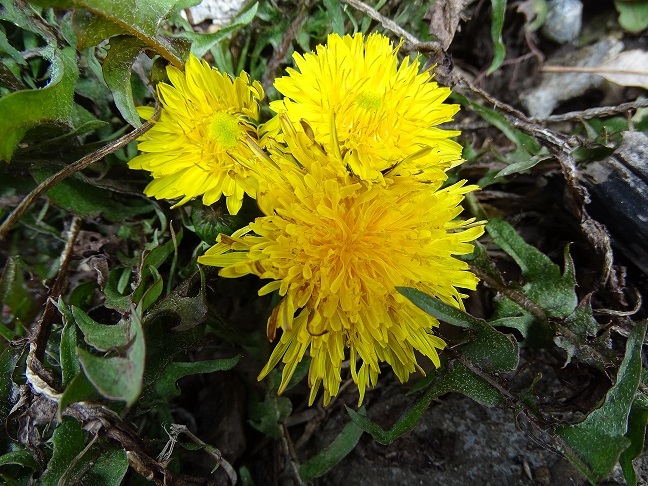 f0360815_13221890.jpg