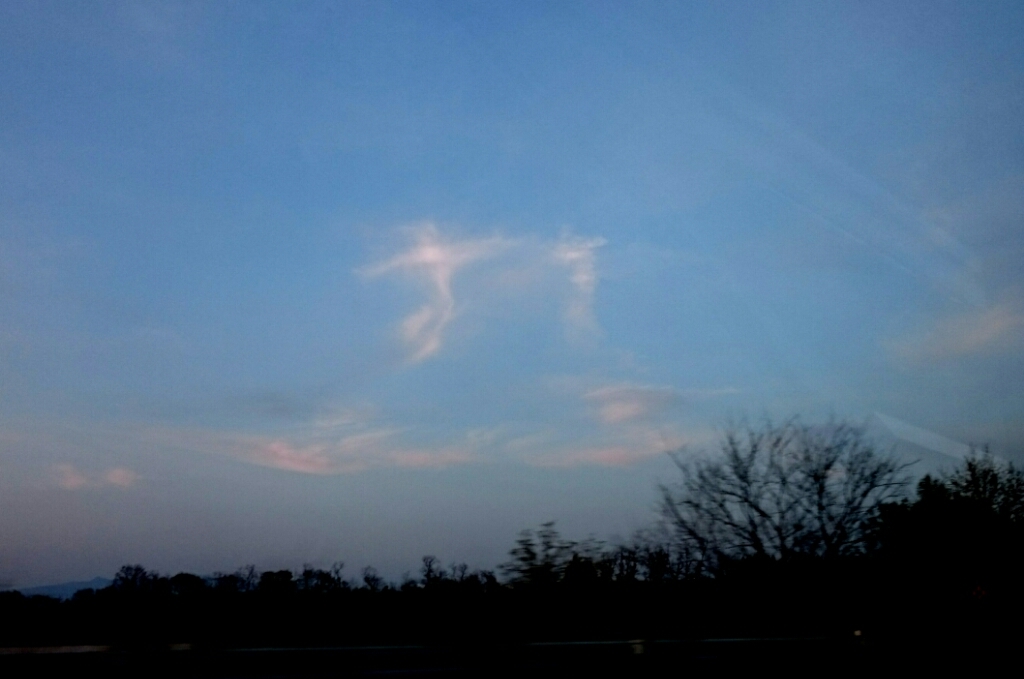d0262916_15564408.jpg