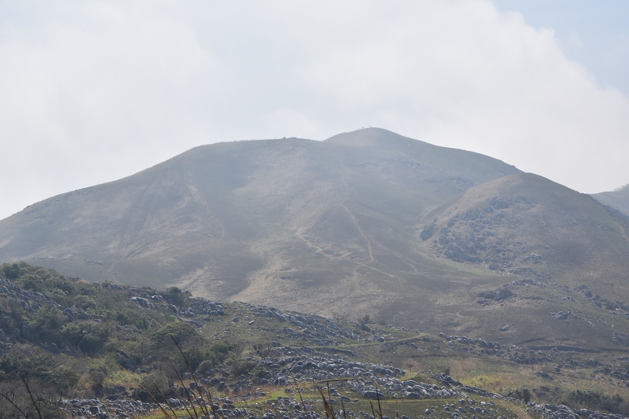 f0174419_18023882.jpg