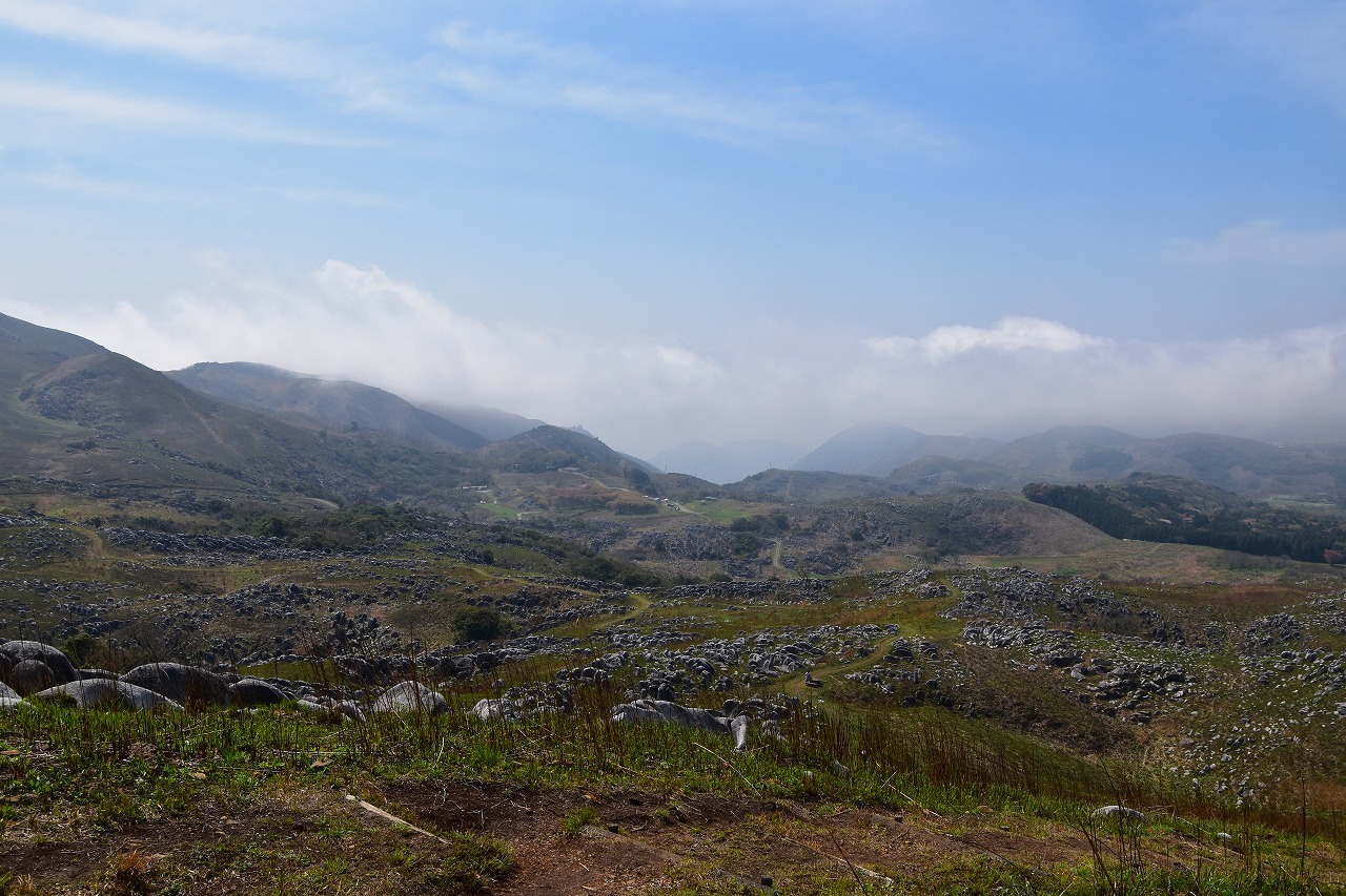 f0174419_18040450.jpg