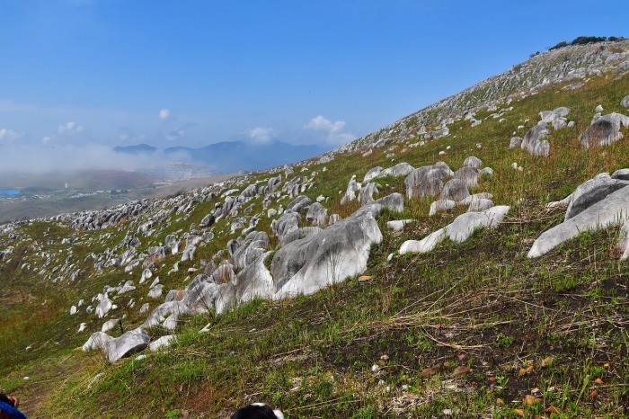 f0174419_18090125.jpg